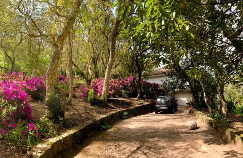 Ulgueira Apartment | Quinta biológica, com vista, na Serra de Sintra