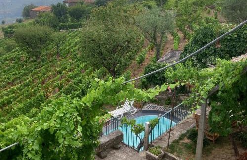 Lamego House | Quinta Casa Do Quintal