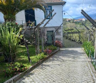 Lamego House | Quinta Casa Do Quintal