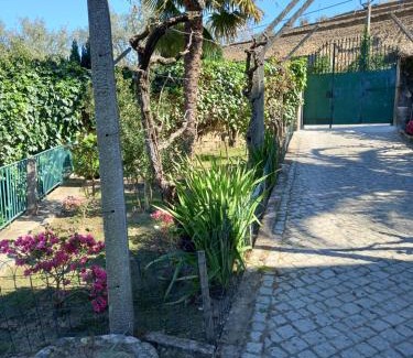 Lamego House | Quinta Casa Do Quintal