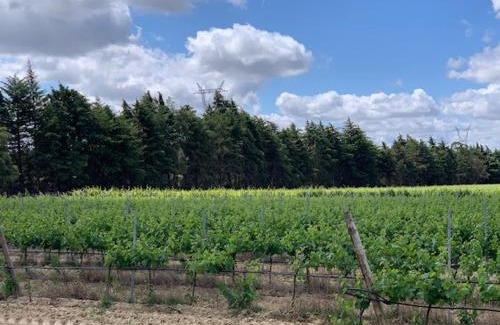 Santarem House | Quinta Centieira Scalab Wine