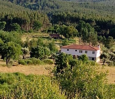 Tabua Bed & Breakfast | Quinta da Barroca do Cabo