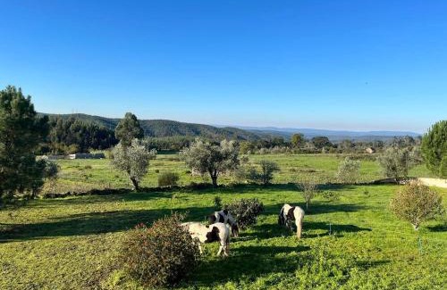 Tabua Bed & Breakfast | Quinta da Barroca do Cabo