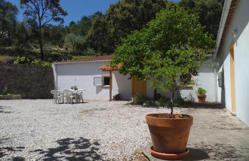 Fundao House | Quinta da Barroquinha