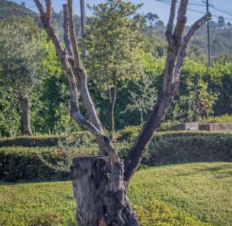 Gonca House | Quinta da Eira do Sol
