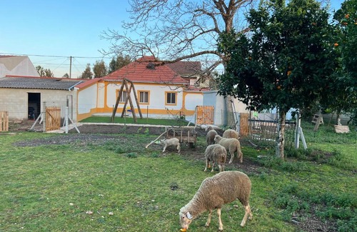 Pombal House | Quinta da nogueira