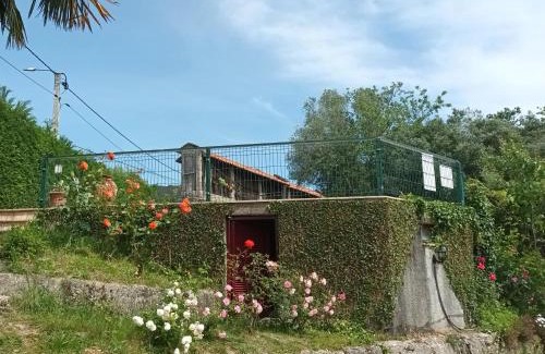 Cantelaes House | Quinta Da Penela