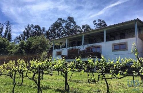 Guilhofrei Apartment | Quinta da Quinta