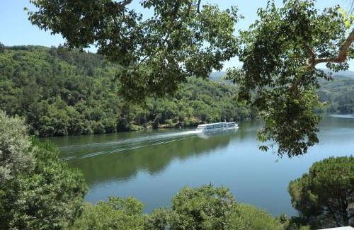 Pacos de Gaiolo House | Quinta da Ribeirinha - Douro River