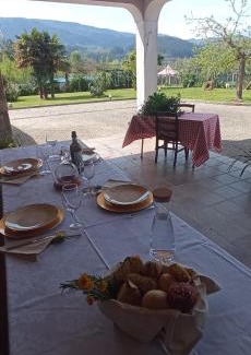 Arouca House | Quinta da Ribeirinha
