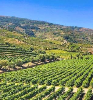 Lamego House | Quinta da Salada - Turismo Rural