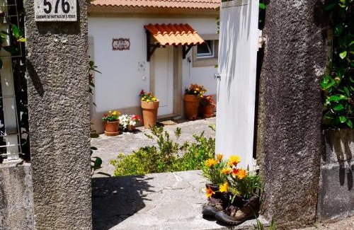 Rubiaes House | Quinta das Leiras - Rubiães