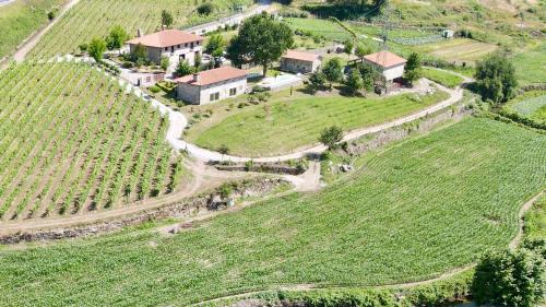 Pevidem House | Quinta de Carvalhal - Casa da Vinha