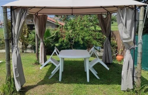 Pevidem House | Quinta de Carvalhal - Casa de Campo