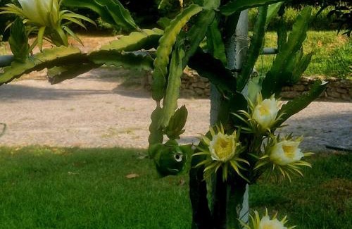 Penso House | Quinta de S. Vicente 317
