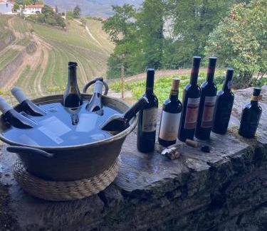 Peso da Regua House | Quinta de Santa Júlia