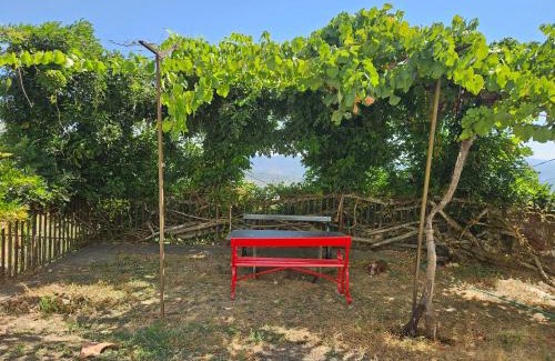 Peso da Regua Apartment | Quinta de Sobre a Fonte Charming Apartments - traditional winery