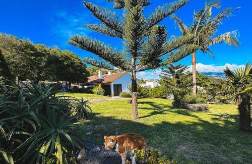 Ponta Delgada Villa | Quinta do Ananás Pineapple Farm