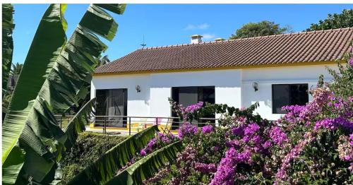Ponta Delgada Villa | Quinta do Ananás Pineapple Farm