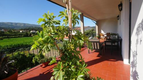 Arouca House | Quinta do Arieiro