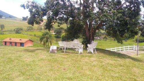 Paraisopolis Other | Quinta do Bebas