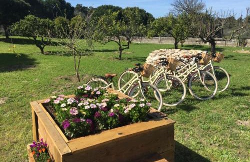 Aldeia do Meco House | Quinta do Meco - Beach & Nature