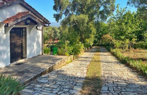 Tabua House | Quinta Do Pereiro