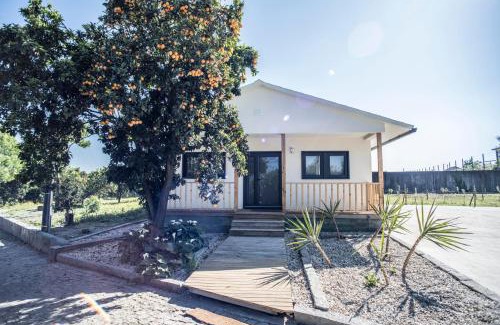 Portela House | Quinta Do Pomar Pomar Farm