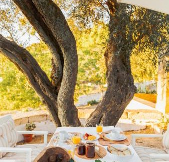 Valdigem House | Quinta do Valdalágea