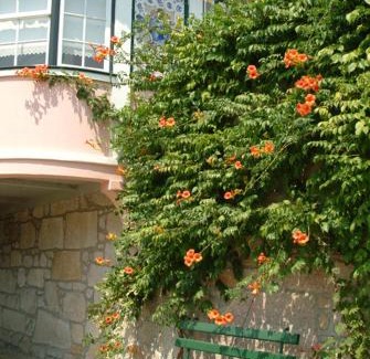 Viana do Castelo House | Quinta do Vale do Monte
