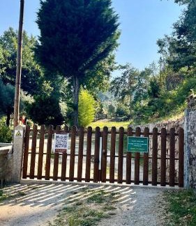 Ponte de Lima House | Quinta dos Amores