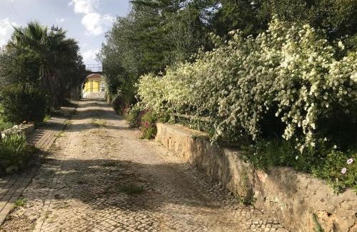 Aldeia de Irmaos House | Quinta dos Canais