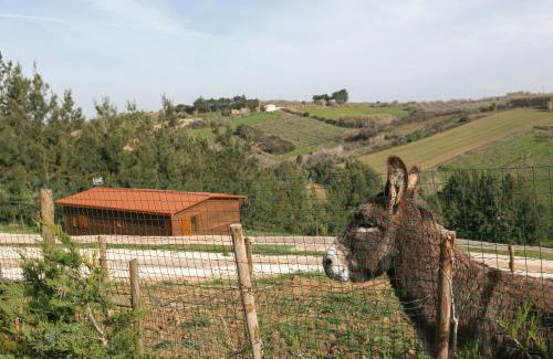 Usseira House | Quinta dos Castanheiros