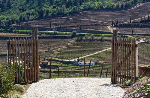 Lamego Apartment | Quinta dos Padrinhos - Suites in the Heart of the Douro