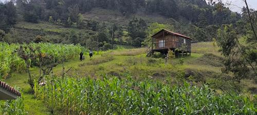 Tenza House | Quinta las Marias, Ecolodge y Tiny wood house