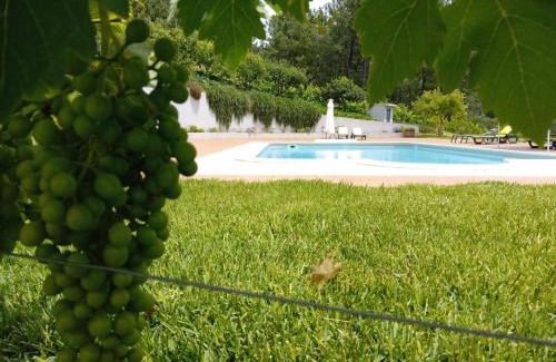 Provesende House | Quinta Manhas Douro
