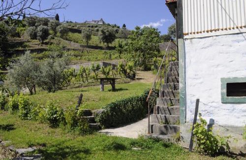Vila Marim House | Quinta Vintage - Biológica