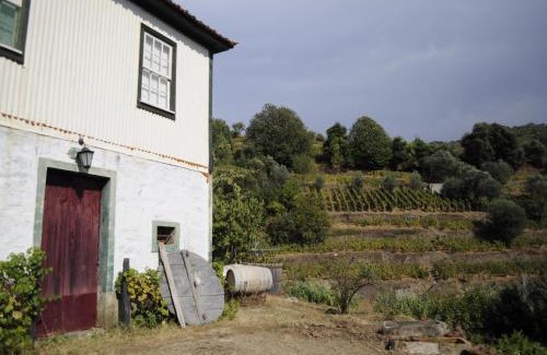 Vila Marim House | Quinta Vintage - Biológica