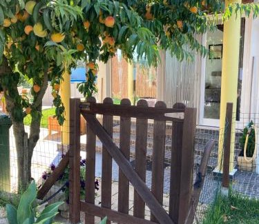 Montemor-o-Novo House | Quintinha do Zé da Lola