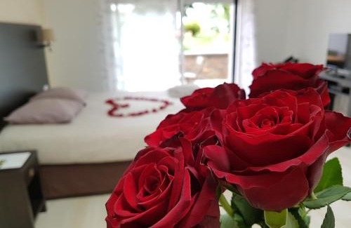 Pont Rousseau Apartment | Résid'Spa Loire & Sèvre