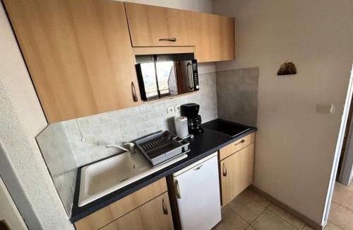 Reallon Apartment | Résidence Gardette - Superbe vue sur les montagnes de ce T2 à Réallon A13 MAE-9051