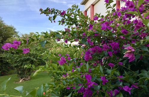 Saint-Francois House | Résidence Le Vallon Guadeloupe