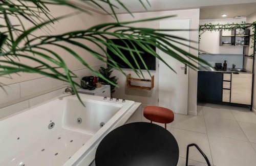 Blois Apartment | Rêve Tropical Balnéo - Votre Pause Enchantée