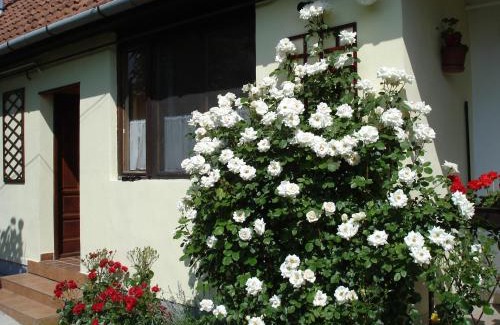 Gyula Apartment | Rózsa Apartman