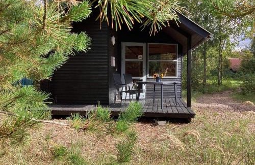 Pandrup House | Rødhus Dune Holiday Center