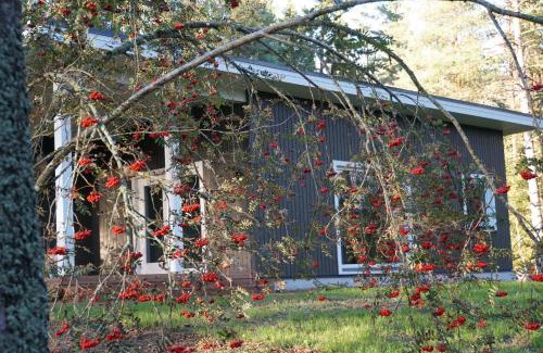 Uuri House | Rabamaja ja Rabasaun