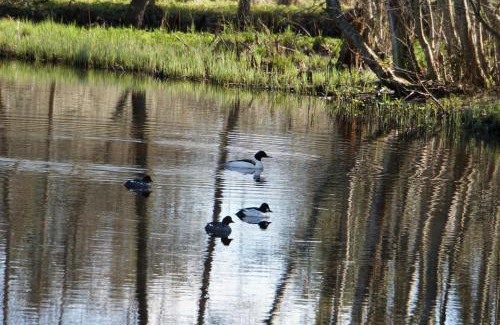 Uuri House | Rabamaja ja Rabasaun