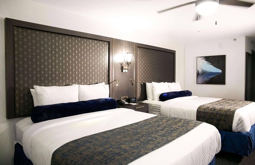 McAllen Hotel | Radisson Hotel McAllen Airport