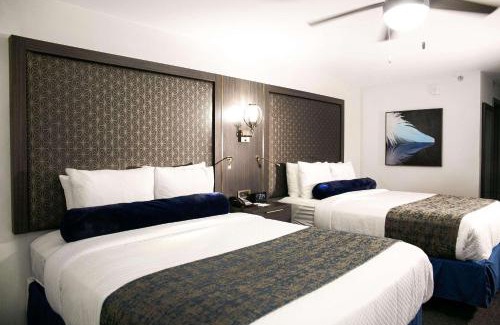 McAllen Hotel | Radisson Hotel McAllen Airport