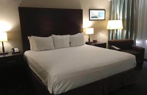 Downtown Winnipeg Hotel | Radisson Hotel Winnipeg Downtown